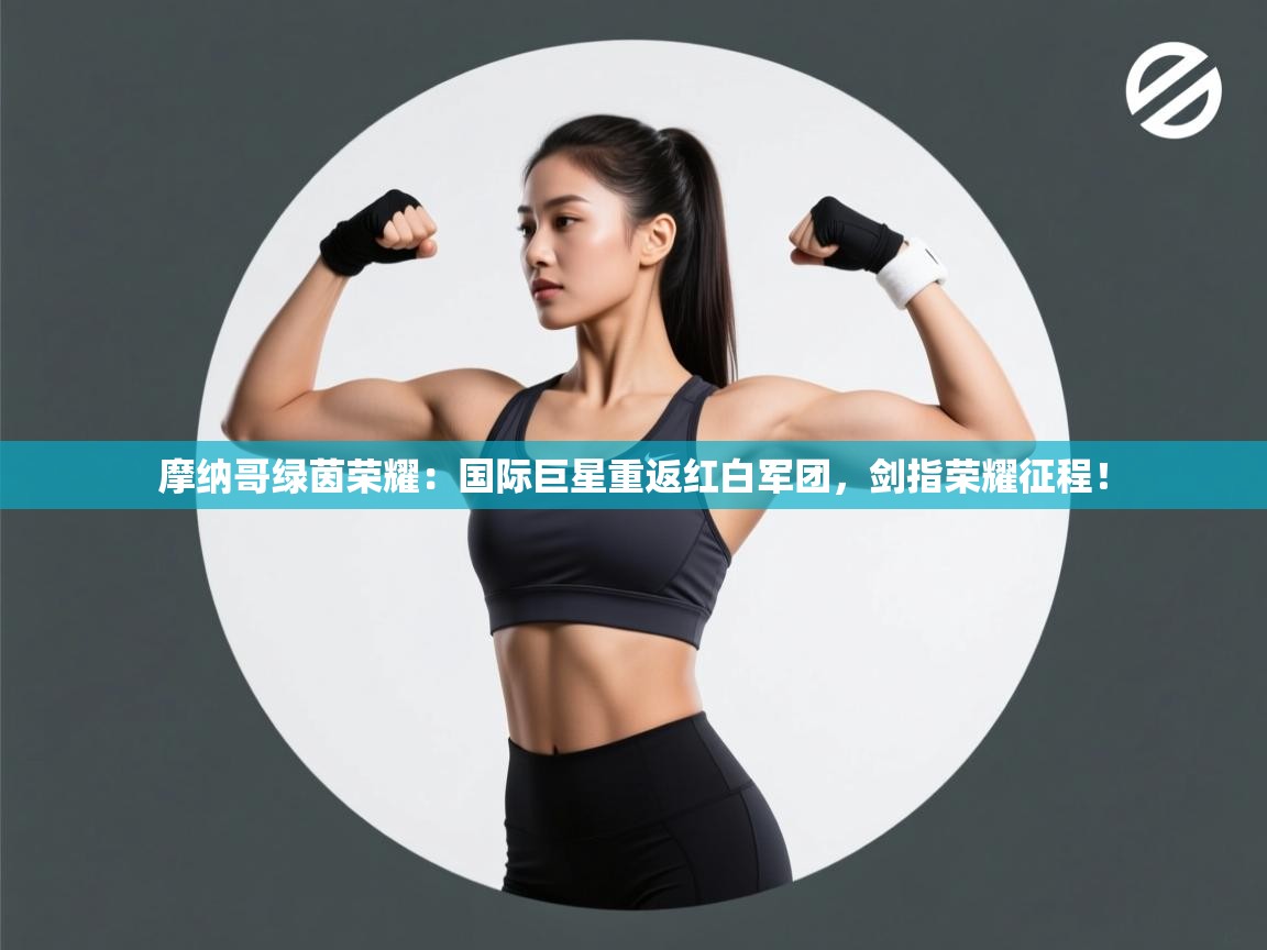 摩纳哥绿茵荣耀：国际巨星重返红白军团，剑指荣耀征程！  第2张